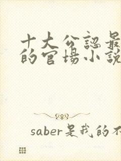 十大公认最好看的官场小说