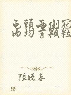 龟头两侧冠状沟内均有颗粒状疙瘩