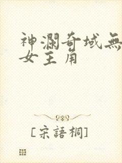 神澜奇域无双珠女主角封面