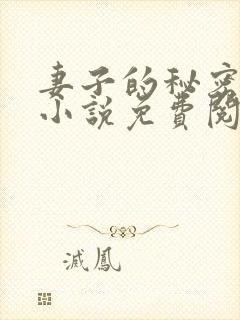 妻子的秘密吴双小说免费阅读