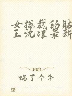 女总裁的贴身兵王沈浪最新章节