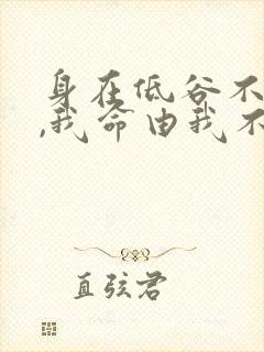 身在低谷不自弃,我命由我不由天