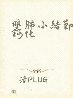 双肺小结节部分钙化封面