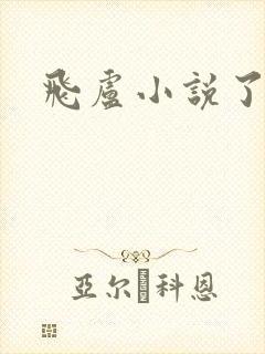 飞卢小说了