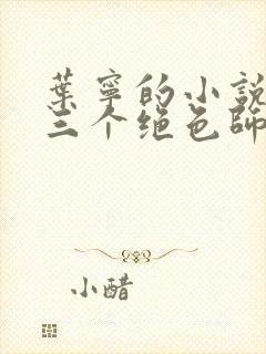 叶宁的小说我有三个绝色师父封面