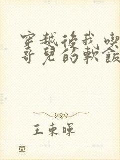 穿越后我吃到了哥儿的软饭炉山灰封面