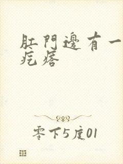 肛门边有一个硬疙瘩封面