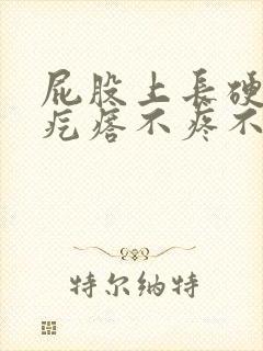 屁股上长硬硬的疙瘩不疼不痒封面