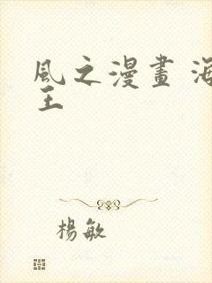 风之漫画 海贼王