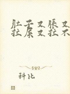 肚子又胀又痛想拉屎又拉不出