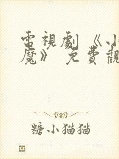 电视剧 《小恶魔》 免费观看