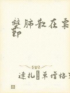 双肺散在粟粒结节