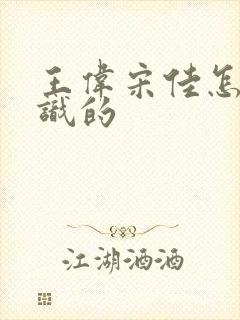 王伟宋佳怎么认识的封面