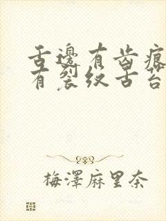 舌边有齿痕中间有裂纹舌苔黄腻封面