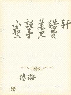 小说叶皓轩妙医圣手免费