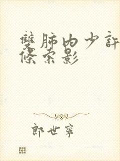 双肺内少许纤维条索影