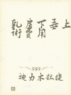 乳房下垂上提手术费用