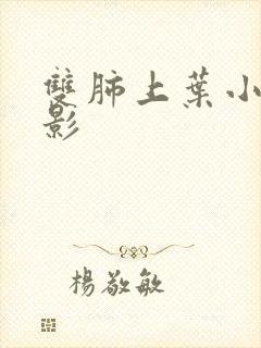 双肺上叶小结节影