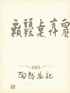 龟头上有白色的颗粒是什么