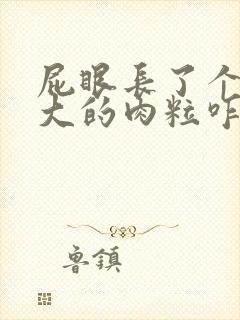 屁眼长了个黄豆大的肉粒咋办