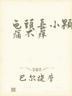 龟头长小颗粒不痛不痒封面