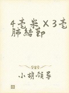 4毫米×3毫米肺结节