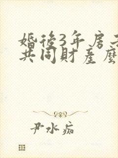 婚后3年房子算共同财产么封面