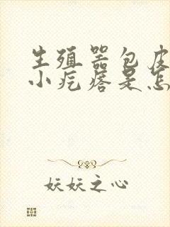 生殖器包皮上有小疙瘩是怎么回事