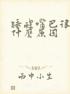 睡醒嘴巴很苦是什么原因