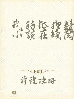 我的狐狸精后妈小说在线阅读