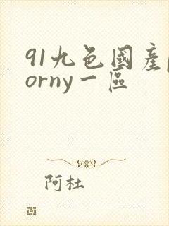 91九色国产porny一区