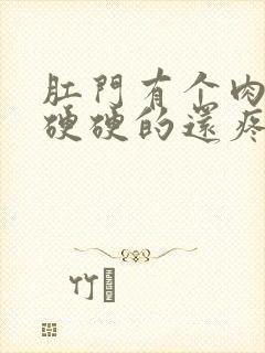 肛门有个肉疙瘩硬硬的还疼