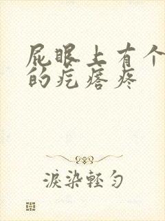 屁眼上有个硬硬的疙瘩疼