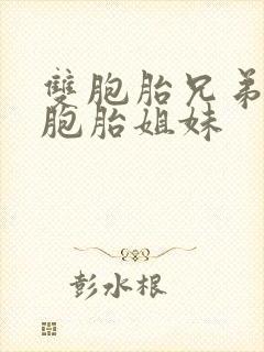 双胞胎兄弟和双胞胎姐妹封面