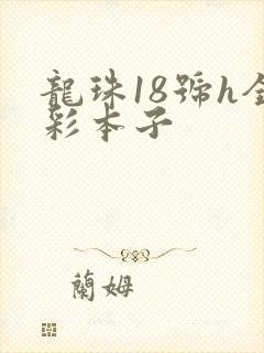龙珠18号h全彩本子