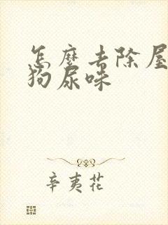 怎么去除屋里的狗尿味