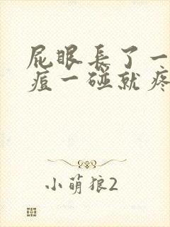 屁眼长了一个痘痘一碰就疼封面