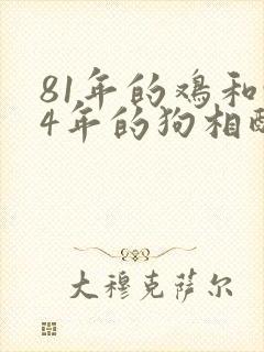 81年的鸡和94年的狗相配吗封面