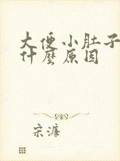 大便小肚子疼是什么原因封面