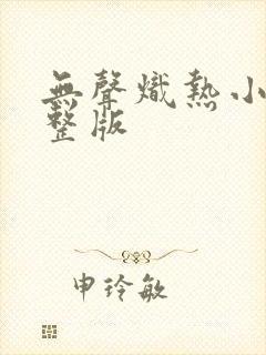 无声炽热小说完整版