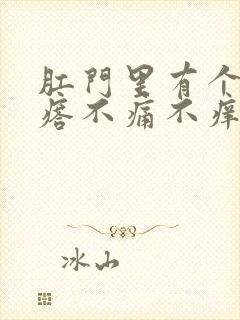 肛门里有个硬疙瘩不痛不痒封面