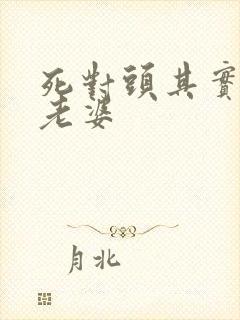 死对头其实是我老婆