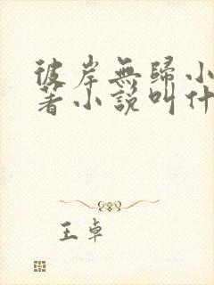 彼岸无归小说原著小说叫什么