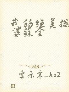 我的绝美总裁老婆苏金