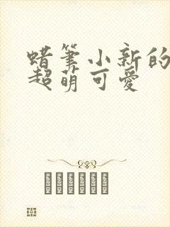 蜡笔小新的图片超萌可爱