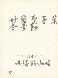 妙医圣手叶皓轩全章节