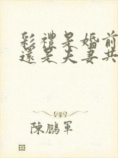 彩礼是婚前财产还是夫妻共有财产