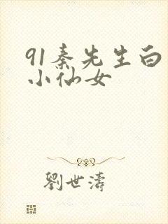 91秦先生白丝小仙女封面