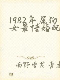 1982年属狗女最佳婚配属相封面
