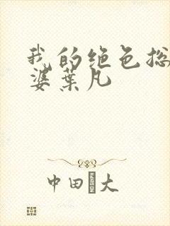 我的绝色总裁老婆叶凡封面